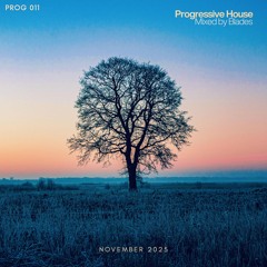 PROG 011 (November 2025)
