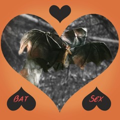 Bat Sex