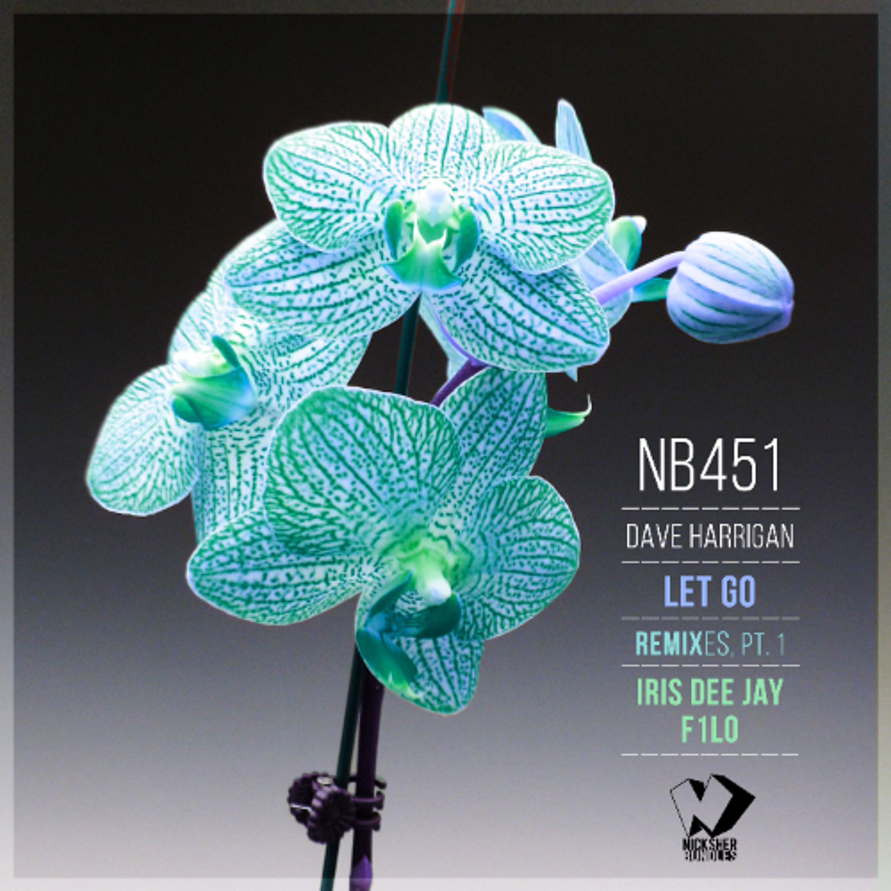 Dave Harrigan - Let Go (Iris Dee Jay Remix) episode artwork