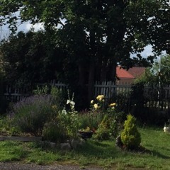 Jardin Feerique (Ravel) excerpt