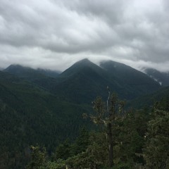 that one vibe you catch when looking out the window while driving through the mountains