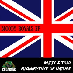 Wijjy & Toad - Magnificence Of Nature