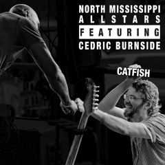 Catfish (feat. Cedric Burnside)