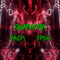 PACK FREE GUARACHA 2025 NOVIEMBRE Y DICIEMBRE