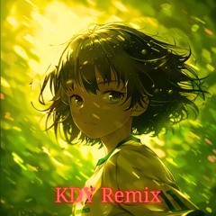 Passo Bem Solto (KDY Remix)