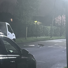 things got dark sesh 2.mp3