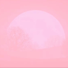 PINK MOON