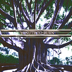 Long Slow Rot                                                                        R1864