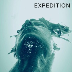Expedition 038 by Safa