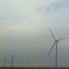 My Human Endeavor (Mental Wealth)