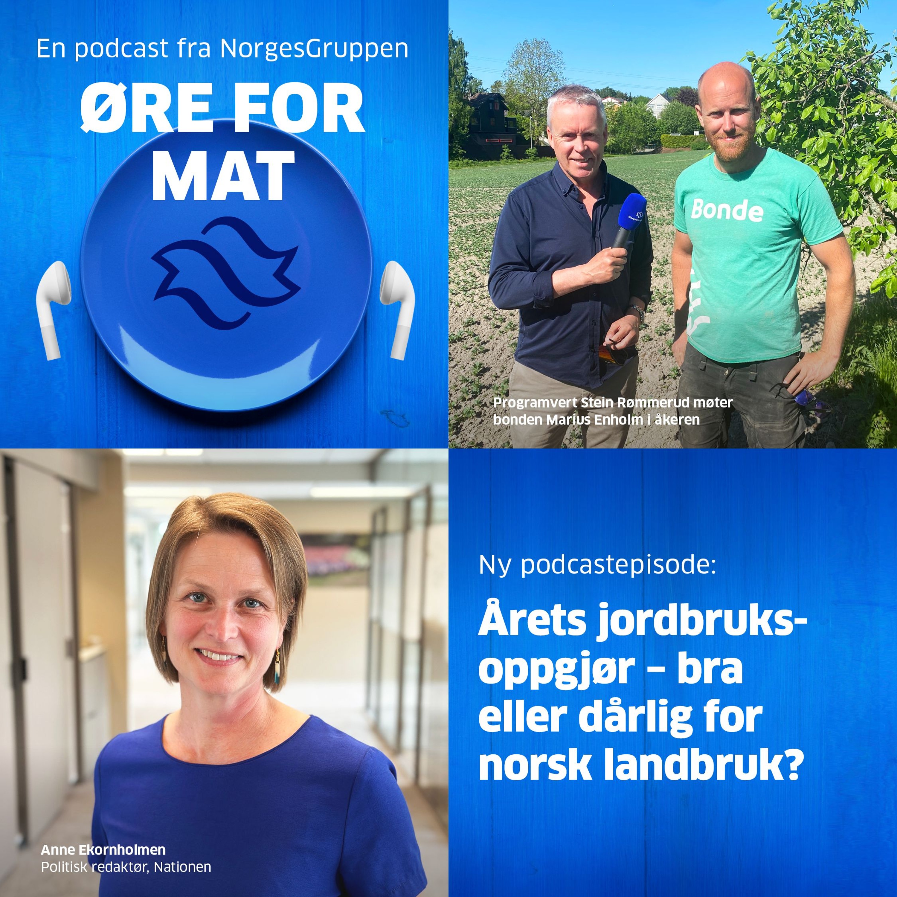 Øre for mat