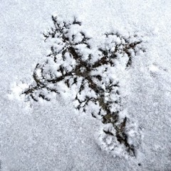 NEXT (after multitool)