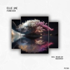Premiere: Elle Jae - Forever [Polyptych]