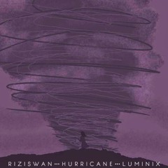 Rizis Wan & LuminiX - Hurricane [Remix]