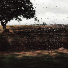 Endless autumn