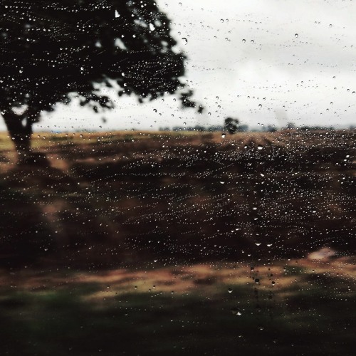 Endless autumn