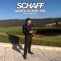 MR SCHAFF DANCEFLOOR DNB MIX