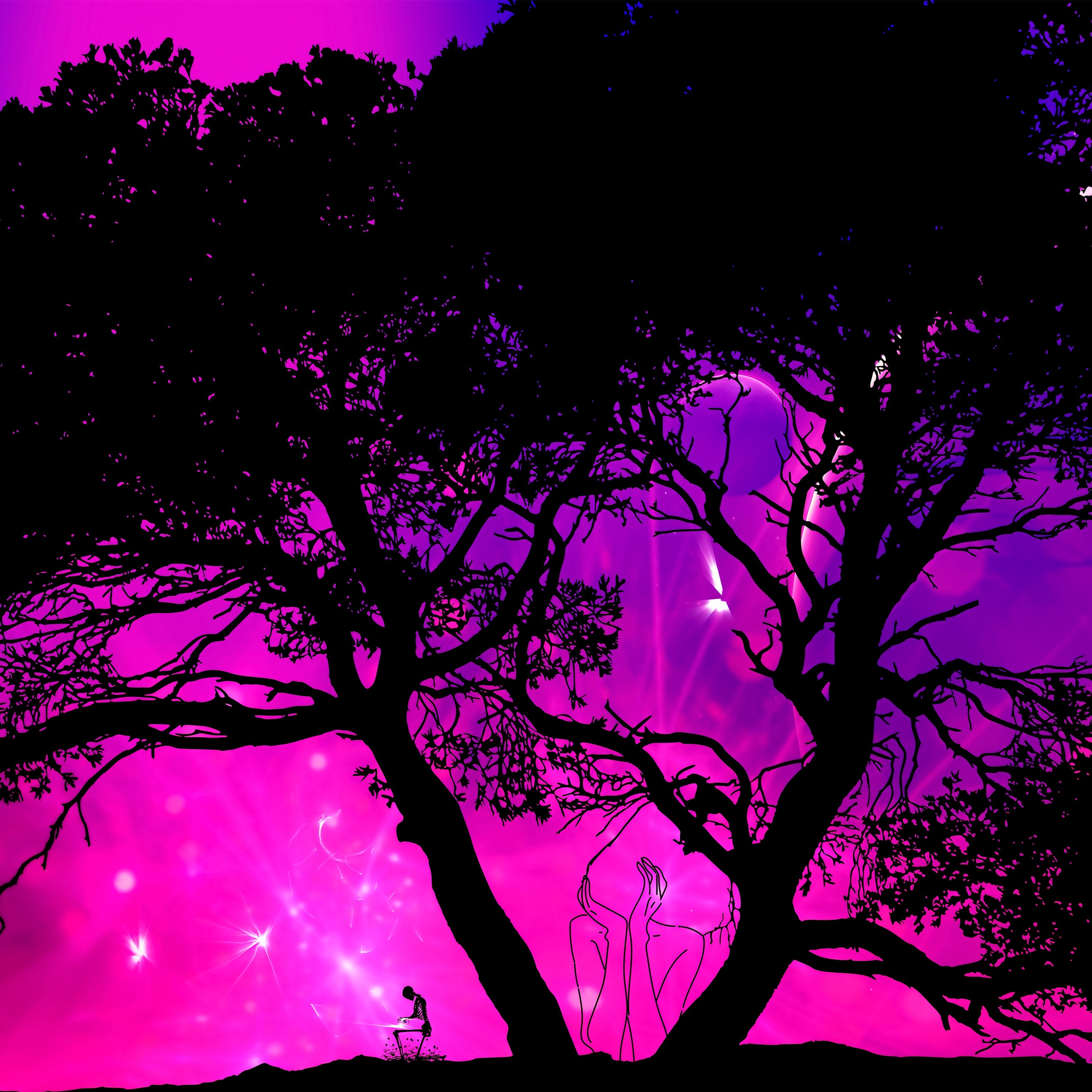 Lucid episode artwork