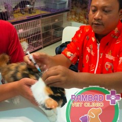 0817-273-670 Dokter Hewan Setu Tangerang Selatan, Rambad Vet Clinic