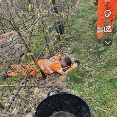 HeadBone Connected OG