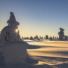 12 Days (10) - Lapland Or Bust