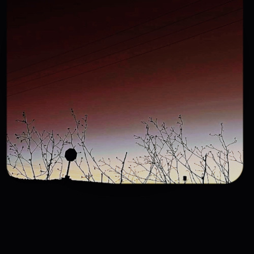 Bxckseat (prod. nxname) ft. indigomav