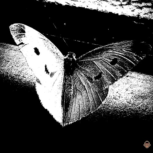 823(unreleased)