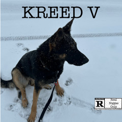 Kreed V