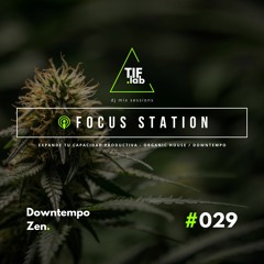 Downtempo Zen #029 - Melodies for the Mind | 🛋️ Deep Focus dj mix session 慢摇