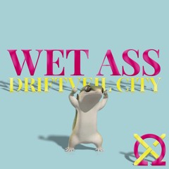 Wet Ass Driftveil City