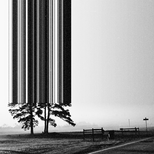 Fleetwood Mac - Go Your Own Way (crow flip)