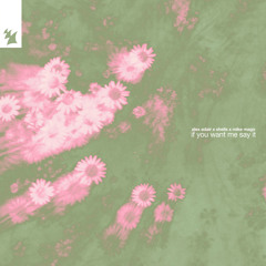 If You Want Me Say It (Extended Mix)