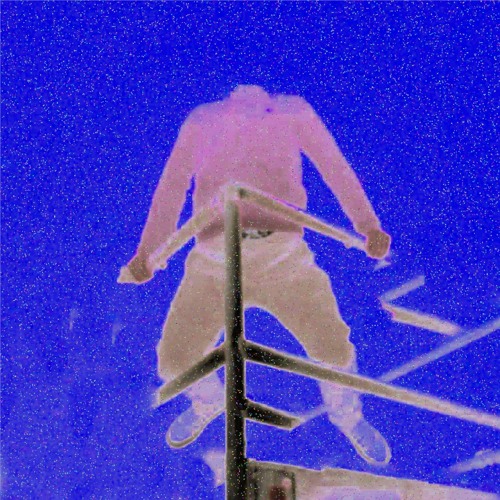 SALVIA MASTER Wav