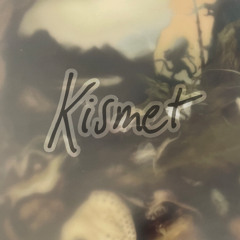 sundew Kismet October 2024