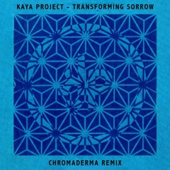 Kaya Project - Transforming Sorrow (Chromaderma Remix)