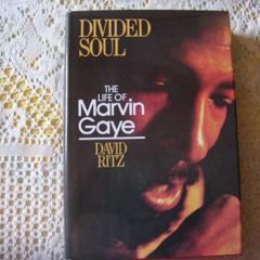 DOWNLOAD PDF 💔 Divided Soul: The Life of Marvin Gaye by  David Ritz KINDLE PDF EBOOK