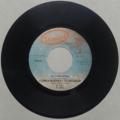 SIDE A -EL TIGRE MONO - CUMBIA MODERNA DE SOLEDAD