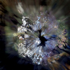 Collapse of Certitudes [FREE DOWNLOAD]