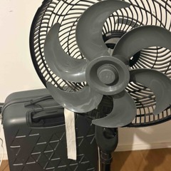 Dudu & Luisin- hélice