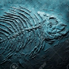 fossils (prod. evilgiane)