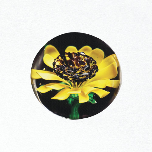 PREMIERE | Sunflower Aquarium - Edit [Paper-Cuts] 2022