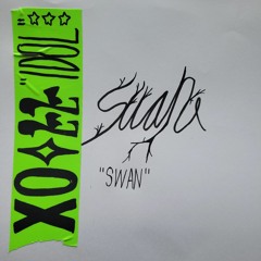 Swan