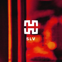 SLV - Mantra Podcast Series 13