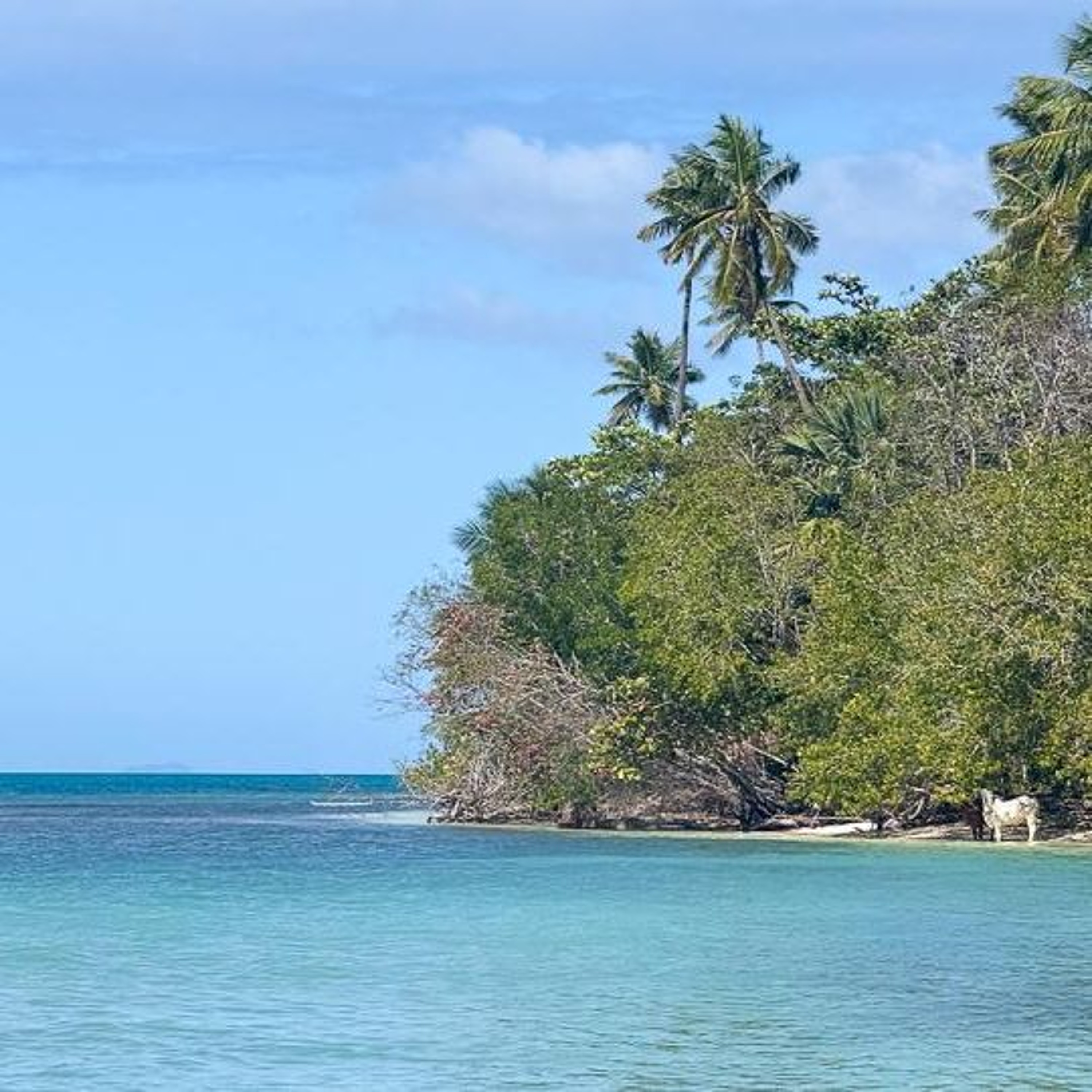 Reporter Kristin Henning Escapes Minneapolis ICE and Chill for Puerto Rico episode artwork