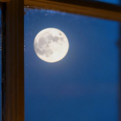 moon (2)