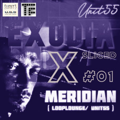MERIDIAN - EXODIA X_sliced_01