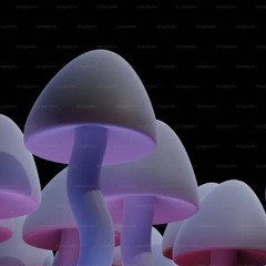 shroom feat P2R