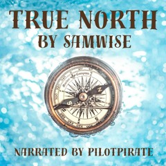 True North by samwise