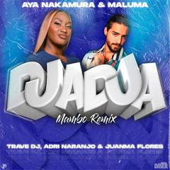 Aya Nakamura Ft. Maluma - Djadja (Trave DJ x Adri Naranjo x Juanma Flores Mambo Remix)