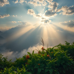 Lose The Fear In The Clouds